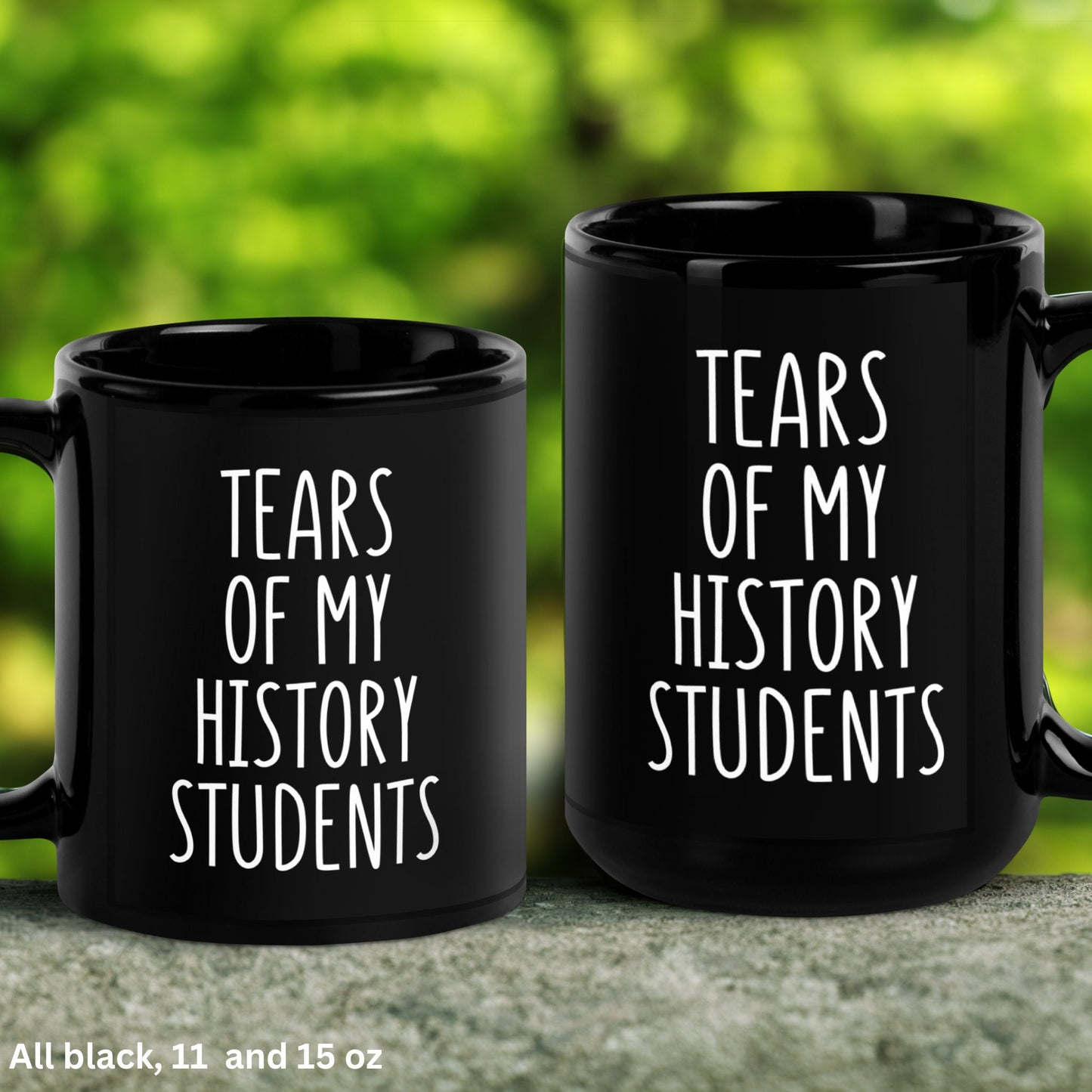 History Teacher Mug, 15 oz 11 oz, Teacher Gift, Tears of My History Students Mug - Zehnaria - CAREER & EDUCATION - Mugs