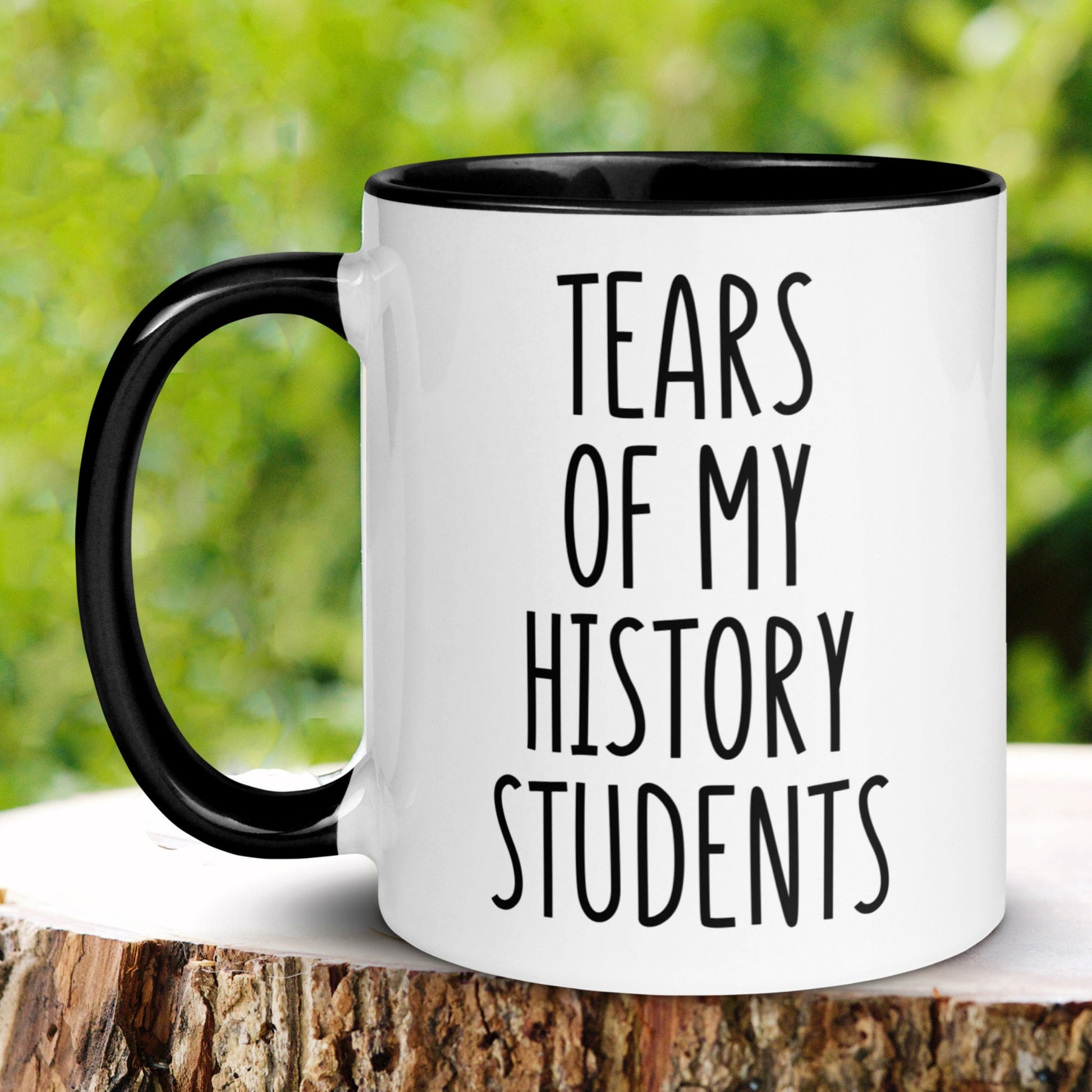 History Teacher Mug, 15 oz 11 oz, Teacher Gift, Tears of My History Students Mug - Zehnaria - CAREER & EDUCATION - Mugs